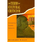 The Terms of Cultural Criticism: The Frankfurt School, Existentialism, Poststructuralism - Paperback
