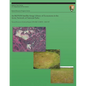 An IKONOS Satellite Image Library of Ecosystems in the Arctic Network of National Parks - Paperback