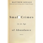 Small Crimes in an Age of Abundance - Paperback