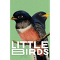 Little Birds (green) - Paperback