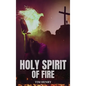 Holy Spirit of Fire - Hardcover