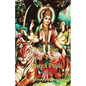 Durga Puja Beginner - Paperback