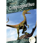 Compsognathus - Library Binding