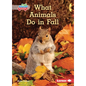 What Animals Do in Fall - Paperback