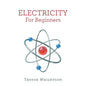 Electricity for Beginners - Paperback