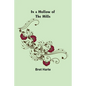 In a Hollow of the Hills - Paperback