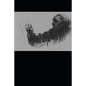 "Seed For the Planting": The Life of Kathe Kollwitz - Paperback