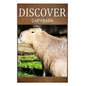 Capybara - Discover: Early reader's wildlife photography book - Paperback
