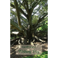 Wishing Tree - Paperback