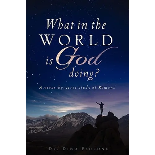 What in the World Is God Doing? - Paperback