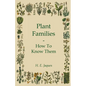 Plant Families - How to Know Them - Paperback