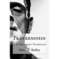 Frankenstein: o el moderno Prometeo - Paperback