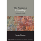 The Promise of Friendship: Fidelity within Finitude - Hardcover