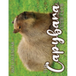 The Capybara Cutie Club 2025 Calendar - Paperback