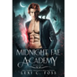 Midnight Fae Academy: Book Four - Hardcover