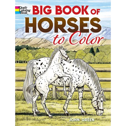Big Book of Horses to Color - Paperback