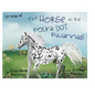 The Horse in the Polka Dot Pajamas: Life lesson #1 - Hardcover