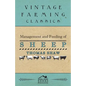 Management and Feeding of Sheep - Paperback