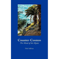 Counter-Cosmos: The Mind of the Mystic - Paperback