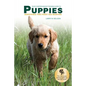 Your Comprehensive Training Guide to PUPPIES: Surviving the First Six Months - Paperback