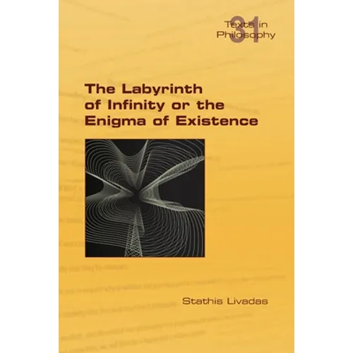 The Labyrinth of Infinity or the Enigma of Existence - Paperback