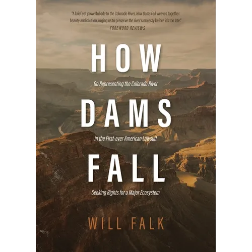 How Dams Fall - Paperback
