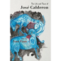 The Life and Times of José Calderon - Paperback