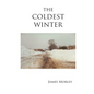 Coldest Winter - Paperback
