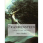 Frankenstein: Large Print Edition - Paperback