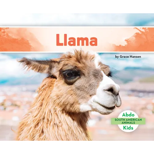 Llama - Library Binding