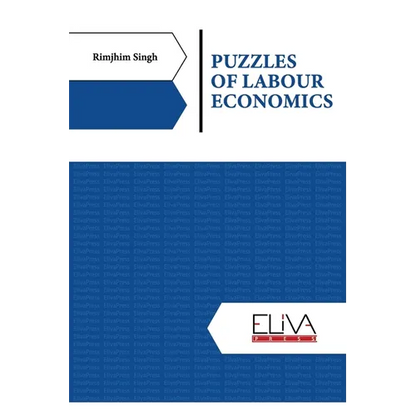 Puzzles of Labour Economics - Paperback