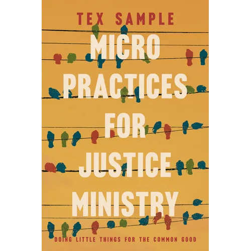 Micro Practices for Justice Ministry: Doing Little Things for the Common Good - Paperback