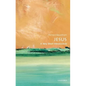Jesus: A Very Short Introduction - Paperback