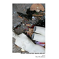 Basic Disaster Supplies Kit - Paperback
