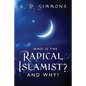Who Is the Radical Islamist? and Why? - Paperback
