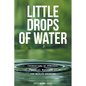 Little Drops of Water: Foundations of Personal Financial Management for Wealth Creation - Paperback