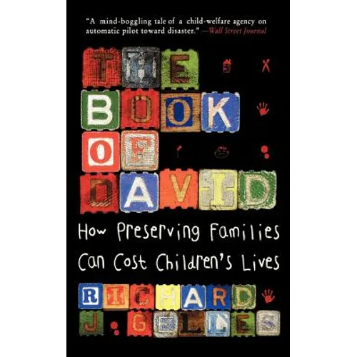 The Book of David: How Preserving Families Can Cost Children's Lives - Paperback