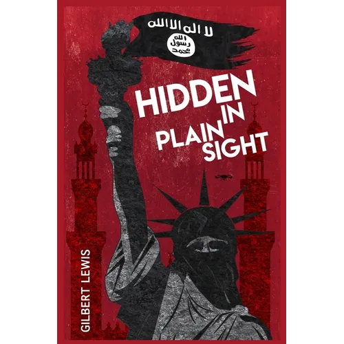Hidden in Plain Sight - Paperback