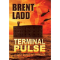 Terminal Pulse: A Codi Sanders Thriller - Hardcover