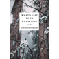 What's Left to Us by Evening - Paperback