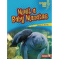 Meet a Baby Manatee - Library Binding