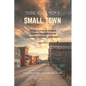 Young Voices from a Small Town: A COLLECTION OF ESSAYS TOMCAT BRIDGEBUILDERS TRIMBLE TOWNSHIP OHIO USA Volume 1 - Paperback