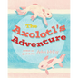 The Axolotl's Adventure - Paperback