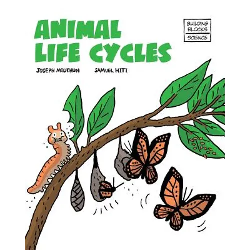 Animal Life Cycles - Paperback