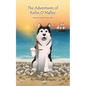 The Adventures of Rufus O'Malley - Monty Saves The Day - Paperback