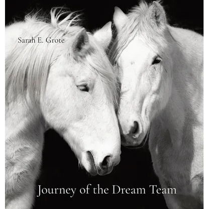 Journey of the Dream Team - Hardcover
