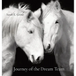 Journey of the Dream Team - Hardcover