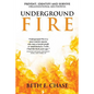 Underground Fire: Prevent, Identify and Survive Organizational Meltdowns - Paperback