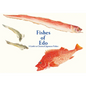 Fishes of EDO: A Guide to Classical Japanese Fishes - Paperback