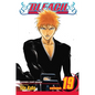 Bleach, Vol. 19 - Paperback